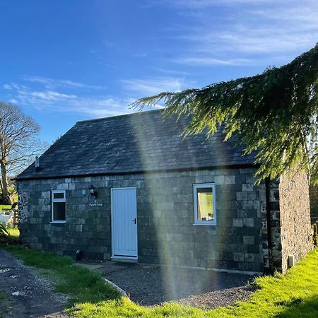 Morvoren Cottage Launceston Buitenkant foto